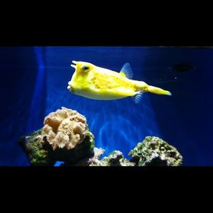 Meet your Posher, Alycia