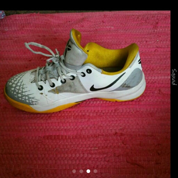 Kobes - Picture 2 of 4