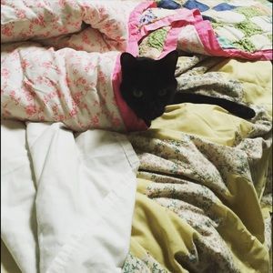 Meet your Posher, Samantha