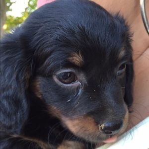 Meet your Posher, Bianca