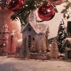 Meet your Posher, Patricia-patty