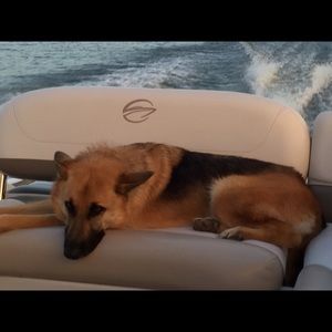 Meet your Posher, Cathy