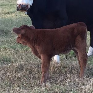 Meet your Posher, Scott