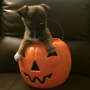 Meet your Posher, Kristin