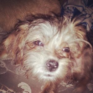 Meet your Posher, Christine