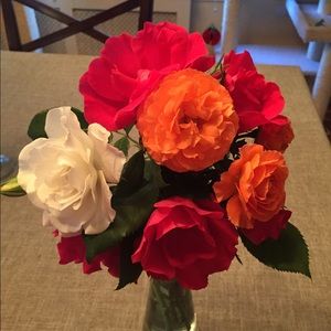 Meet your Posher, Teri