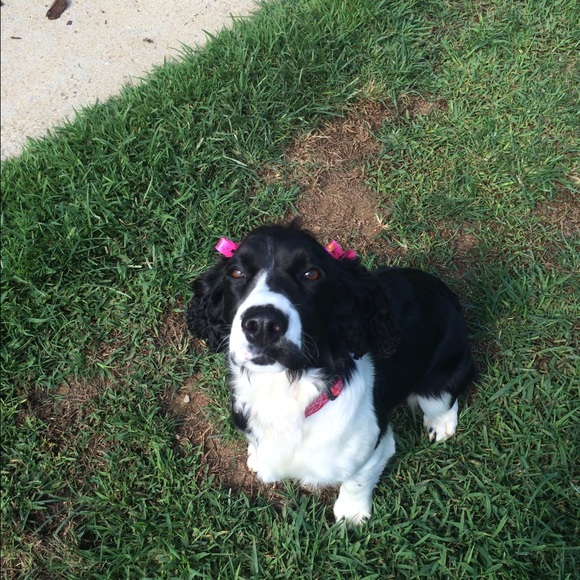 Meet your Posher, Rachel - Picture 1 of 1