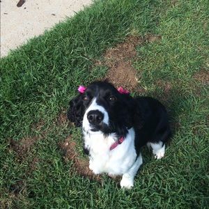 Meet your Posher, Rachel