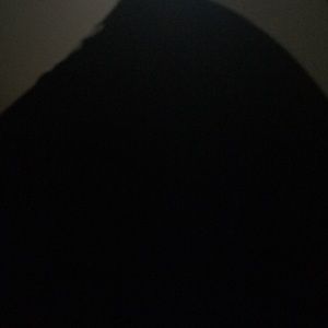 Meet your Posher, Alicia