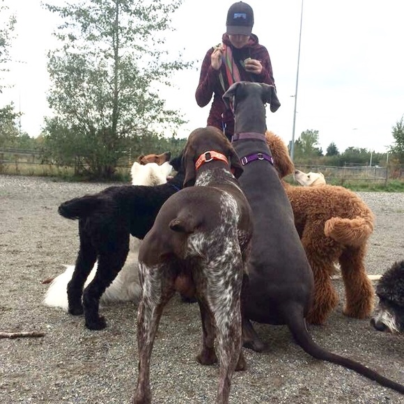 Meet Me! - Picture 4 of 4