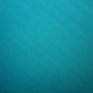 Meet your Posher, Brandi