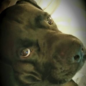 Meet your Posher, Dana