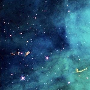 Meet your Posher, Yuli