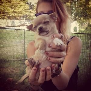 Meet your Posher, Liv