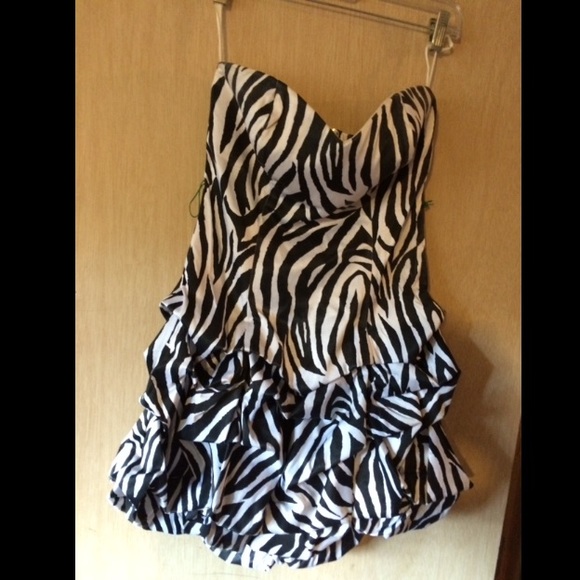 Zebra striped dress