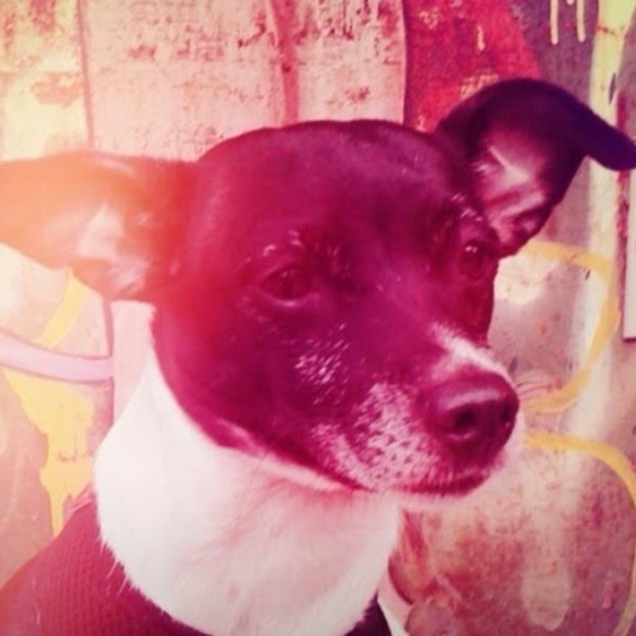 Meet your Posher, Alex