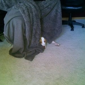 Meet your Posher, Jazmine