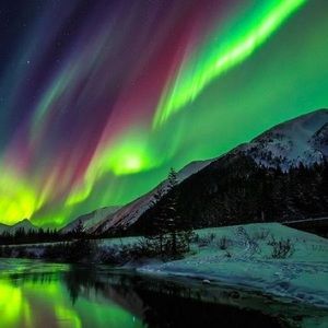 Meet your Posher, Lili