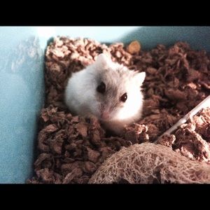 Meet your Posher, Winter