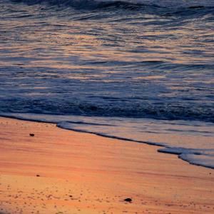 Meet your Posher, Pat