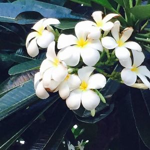 Meet your Posher, Sue