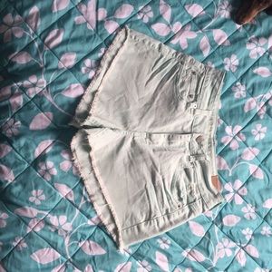 Hi-Rise Festival Shorts