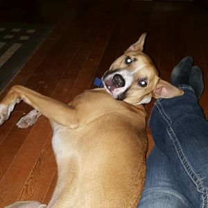 Meet your Posher, Stacey