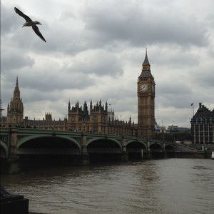 Meet your Posher, Penny