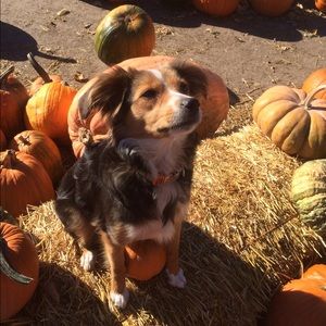 Meet your Posher, Sheila