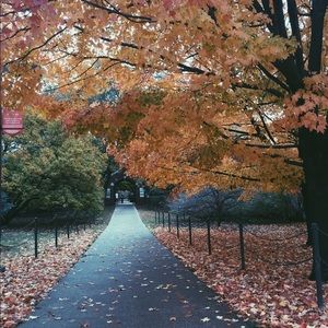 Meet your Posher, Alli