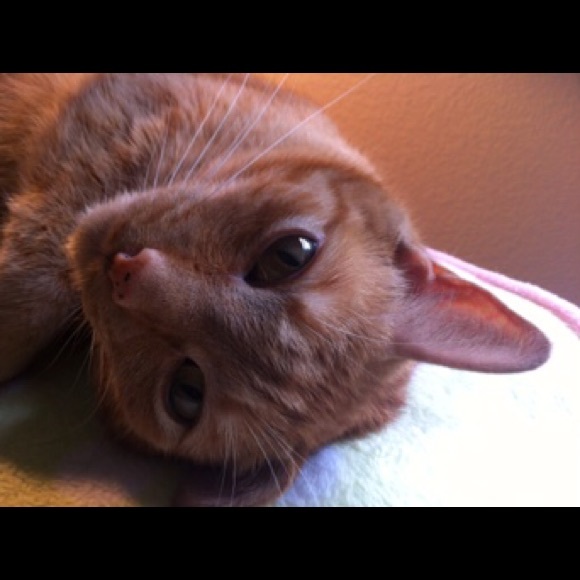 Meet your Posher, Ruth