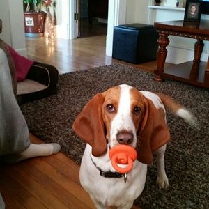 Meet your Posher, Tonya