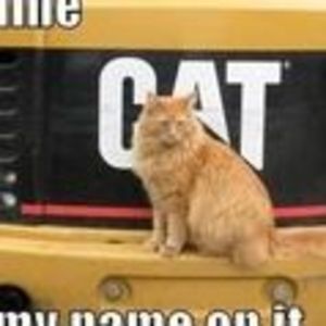 Meet your Posher, Cyndi