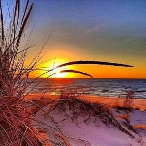 Meet your Posher, Bonnie