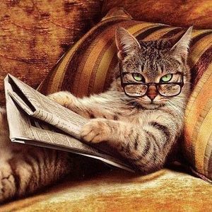 Meet your Posher, Jan