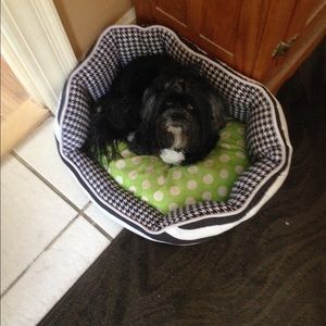 Meet your Posher, Jayne