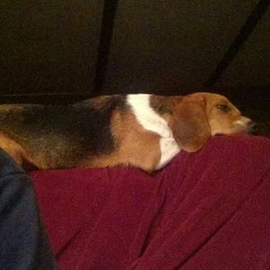 Meet your Posher, Patti