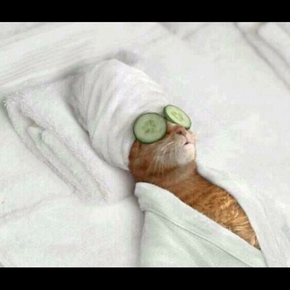 Make a reasonable offer, all items as-is. - Picture 2 of 2