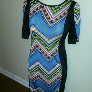Fitted Multi Colored Dress