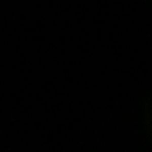 Meet your Posher, Toyia