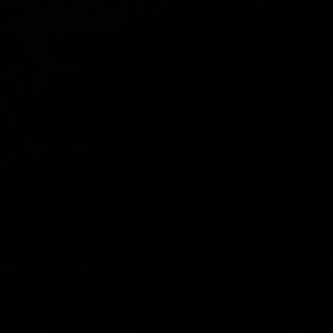 Meet your Posher, Kyler