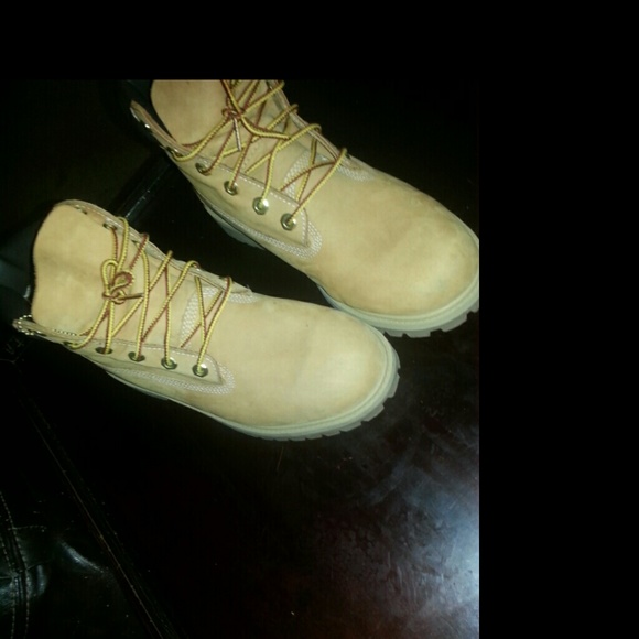 Timberlands Boota