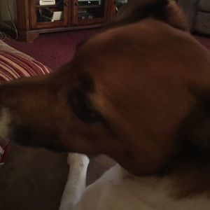 Meet your Posher, Kelsey