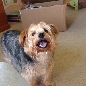 Meet your Posher, Maddie