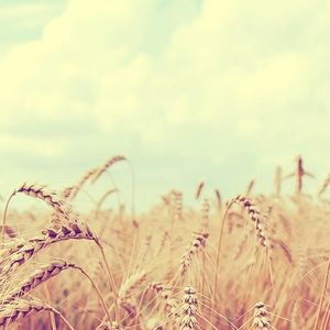 Meet your Posher, Syd