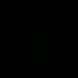 Meet your Posher, Elsy