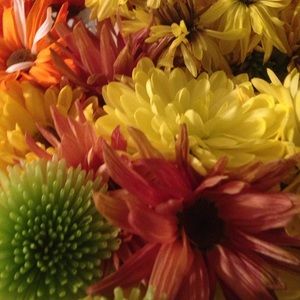 Meet your Posher, Sam