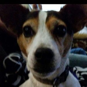 Meet your Posher, Ingrid