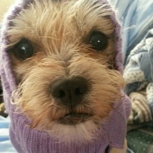 Meet your Posher, Katie