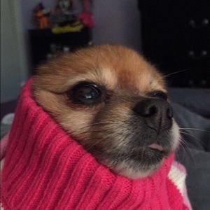 Meet your Posher, Gail